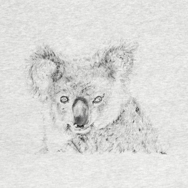 Koala appreciation portrait by Producer